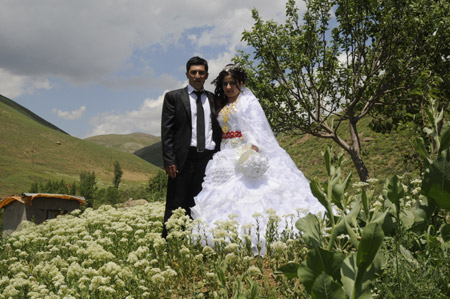 Yüksekova Düğünleri (5 Haziran 2011) 194