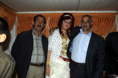 Yüksekova Düğünleri (11 Haziran 2011) 113