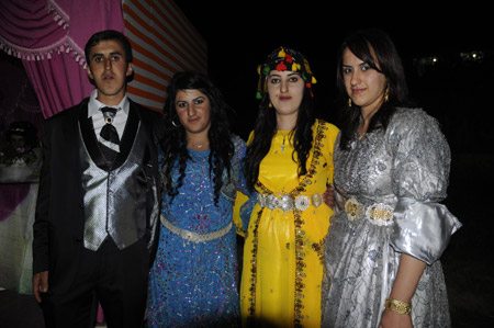 Yüksekova Düğünleri (11 Haziran 2011) 125