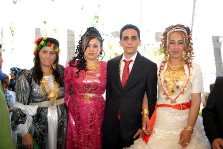Yüksekova Düğünleri (20 Haziran 2011) 147
