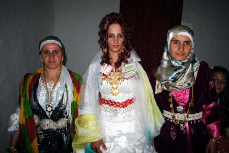 Yüksekova Düğünleri (20 Haziran 2011) 182