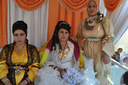 Yüksekova Düğünleri (20 Haziran 2011) 188