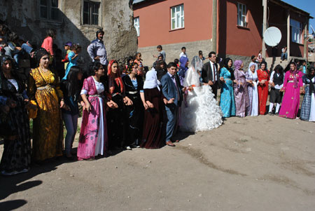 Yüksekova Düğünleri (20 Haziran 2011) 195