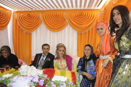 Yüksekova Düğünleri (26 Haziran 2011) 103
