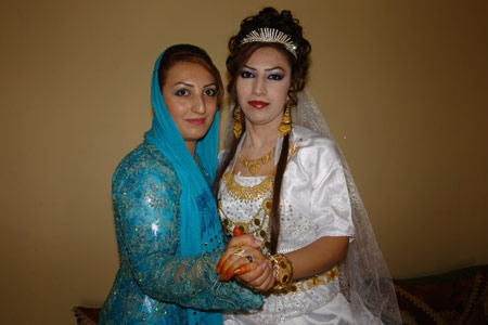 Yüksekova Düğünleri (26 Haziran 2011) 105