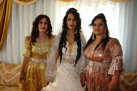 Yüksekova Düğünleri (26 Haziran 2011) 148