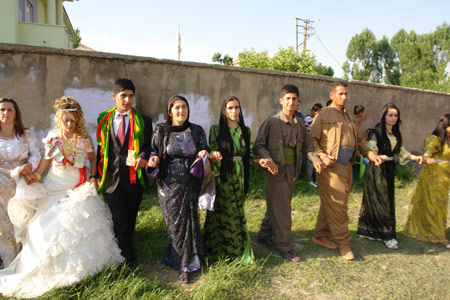 Yüksekova Düğünleri (26 Haziran 2011) 150