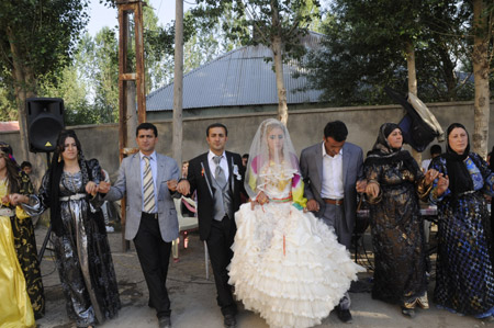 Yüksekova Düğünleri (26 Haziran 2011) 189