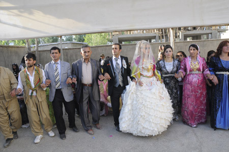 Yüksekova Düğünleri (26 Haziran 2011) 190