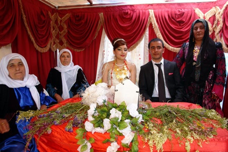 Yüksekova Düğünleri (26 Haziran 2011) 30