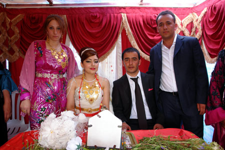 Yüksekova Düğünleri (26 Haziran 2011) 31