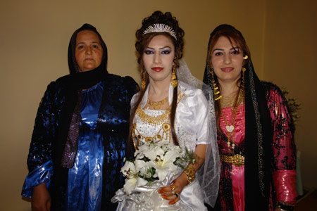 Yüksekova Düğünleri (26 Haziran 2011) 55