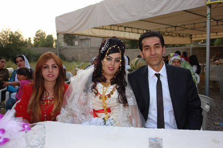 Yüksekova Düğünleri (2-3 Temmuz 2011) 156