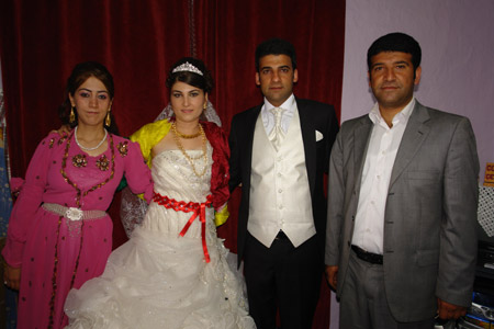 Yüksekova Düğünleri (2-3 Temmuz 2011) 181