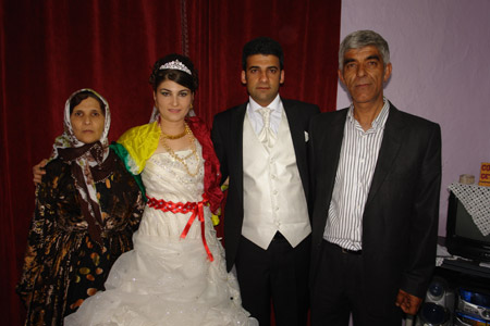 Yüksekova Düğünleri (2-3 Temmuz 2011) 183