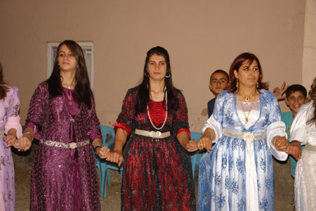 Yüksekova Düğünleri - 10 Temmuz 2011 144