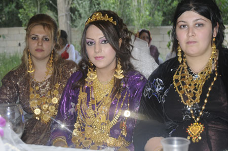 Yüksekova Düğünleri - 10 Temmuz 2011 184