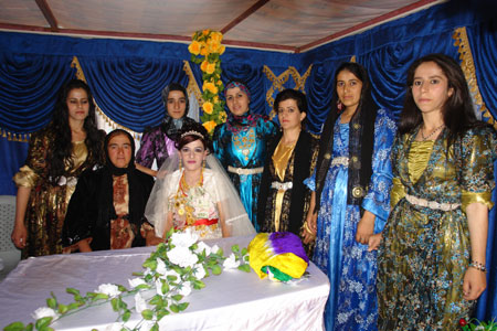 Yüksekova Düğünleri - 10 Temmuz 2011 61