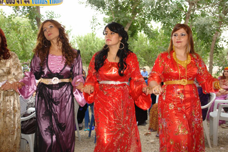 Yüksekova Düğünleri - 17 Temmuz 2011 139