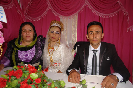 Yüksekova Düğünleri - 17 Temmuz 2011 150
