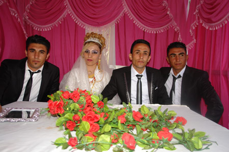 Yüksekova Düğünleri - 17 Temmuz 2011 151