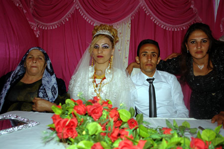 Yüksekova Düğünleri - 17 Temmuz 2011 168