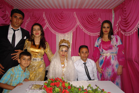 Yüksekova Düğünleri - 17 Temmuz 2011 170