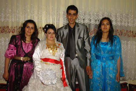 Yüksekova Düğünleri - 17 Temmuz 2011 174