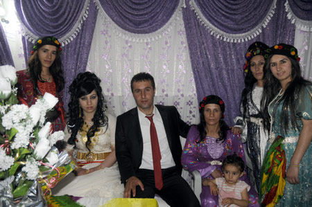 Yüksekova Düğünleri - 17 Temmuz 2011 199