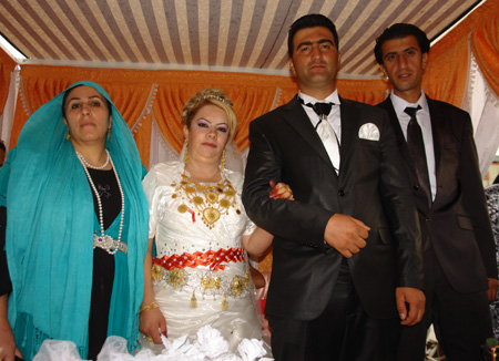 Yüksekova Düğünleri - 24 Temmuz 2011 106
