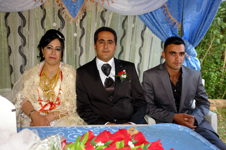 Yüksekova Düğünleri - 24 Temmuz 2011 201