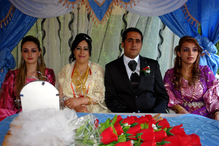 Yüksekova Düğünleri - 24 Temmuz 2011 202