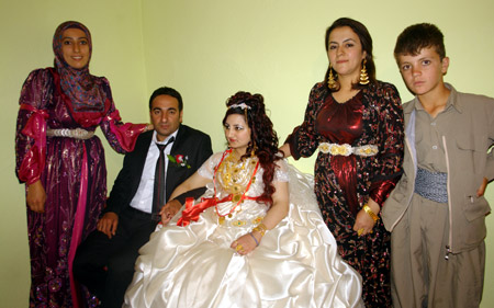 Yüksekova Düğünleri - 24 Temmuz 2011 240
