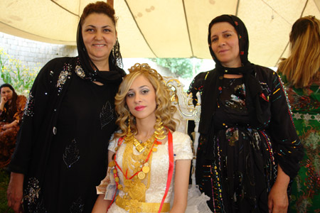 Yüksekova Düğünleri - 24 Temmuz 2011 26