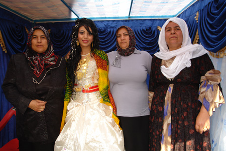 Yüksekova Düğünleri - 24 Temmuz 2011 32