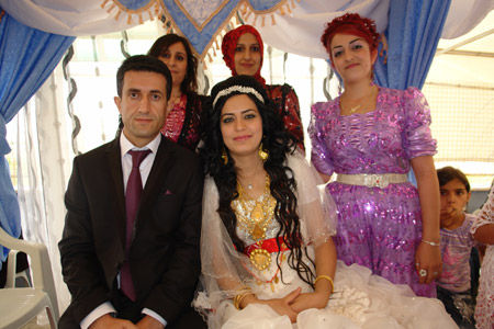 Yüksekova Düğünleri - 24 Temmuz 2011 49
