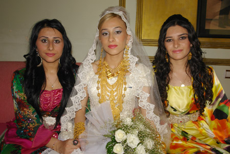 Yüksekova Düğünleri - 24 Temmuz 2011 87