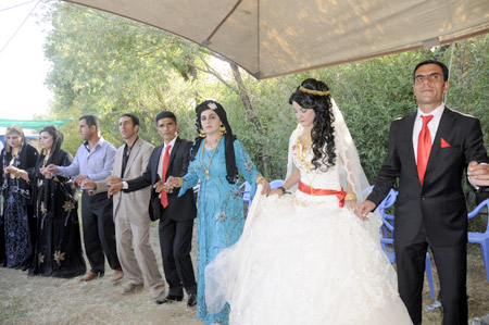 Yüksekova Düğünleri - 30 Temmuz 2011 190