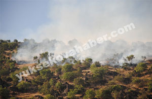 Şemdinli-Derecik karayolu güzergahında orman yangını