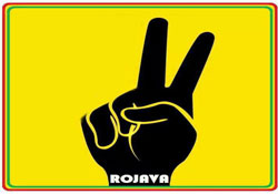 Sanalda Rojava'ya destek eylemi