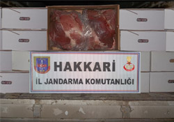 Hakkari'de 7 ton 500 kilo kaçak et yakalandı