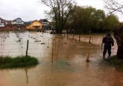 Balkanlarda sel felaketi: 45 kişi öldü