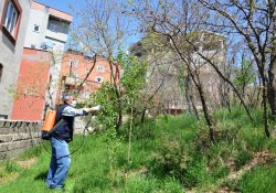 Belediye Park Ve Bahçeler Müdürlüğü Kentin İlaçlama Çalışmalarını Başlattı