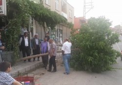 Ergani'de Şiddetli Fırtına