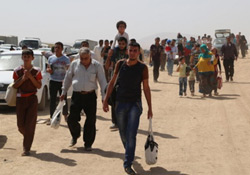 UNHCR : 50 milyon insan yerini yurdunu terk etmek zorunda kaldı