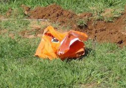 Kızıltepe'de ölü iki cenin bulundu