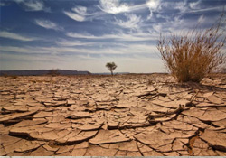 İklimsel değişimler 7 bin yıllık Atacama mumyalarını çürütüyor