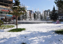 Siirt'te kar yağışı, 80 köy yolu ulaşıma kapandı