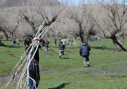 Varto'da köy komünleri binlerce fidan dikti
