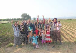 Mevsimlik kadın işçiler HDP'ye güveniyor